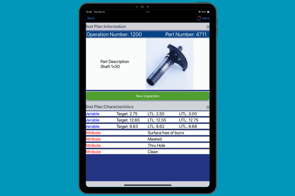 Real-Time Inspection Data Capture